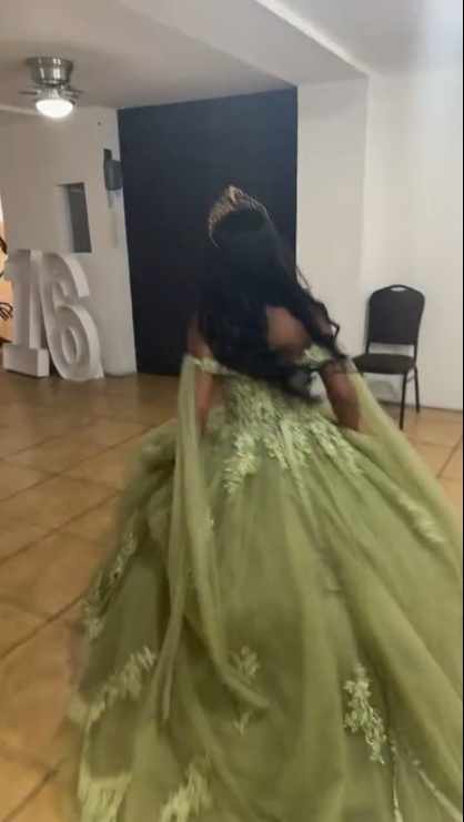 A Line Green Tulle Lace Princess Dresses Off the Shoulder Party Ball Gowns fg6204