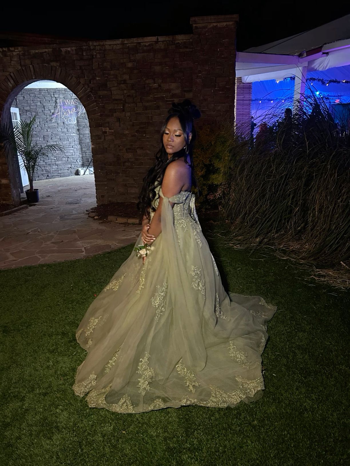 Sage Green Quinceanera Dresses 3D Flower Applique Sweet 16 Dress Ball Gown fg6882