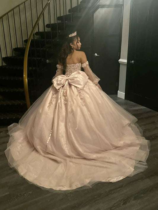 Robe de Quinceanera en tulle avec appliques, robe de bal, robe Sweet 16, fg6477