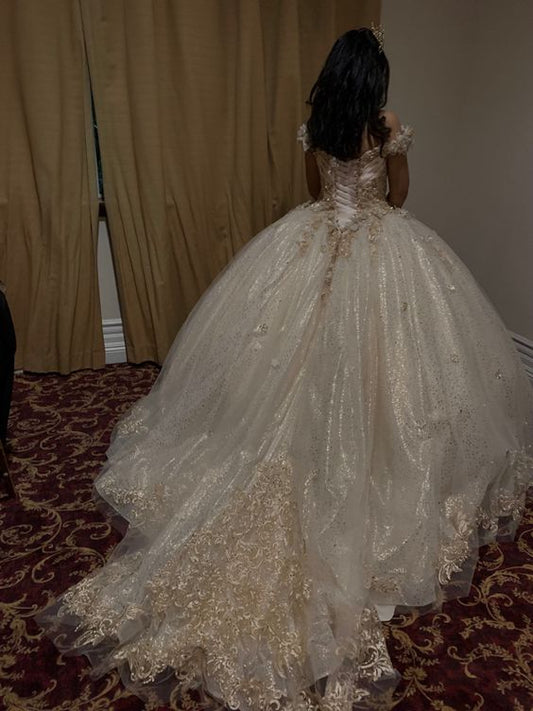 Glitzernde Quinceanera Kleider Spitze Prinzessin Kleid Geburtstag Party Kleider Ballkleider fg6576