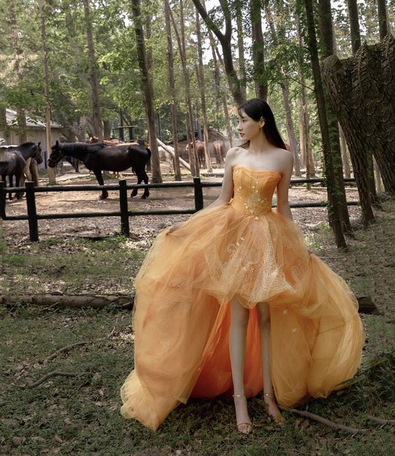 orange high low prom dress Princess Burnt Orange High Low Tiered Puff Tulle Long Evening Dress De Siaoryne