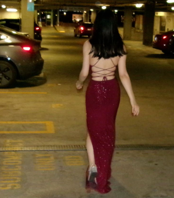 Burgundy Sequin Prom Dresses Long Formal Evening Dress fg6931