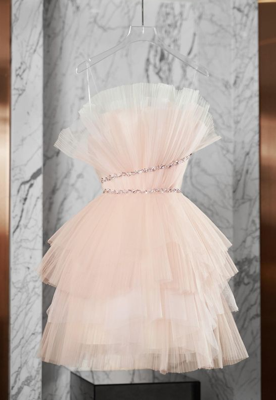 blush pink formal dress short Elegant blush pink short evening dress pearl sleeves