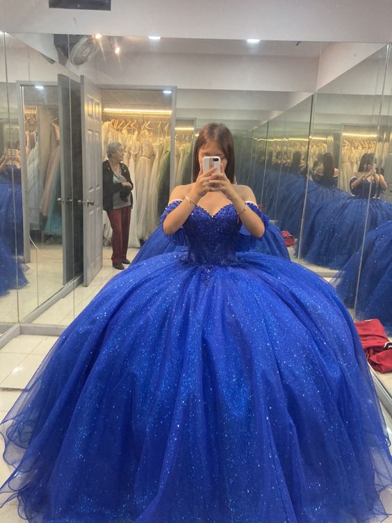 Royal Blue Sparkly Princess Ball Gown Quinceanera Dresses fg6843