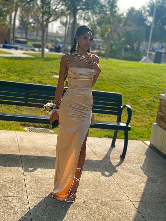 Champagne Prom Dress Women Sexy Dresses Elegant Simple Party Dress fg1948