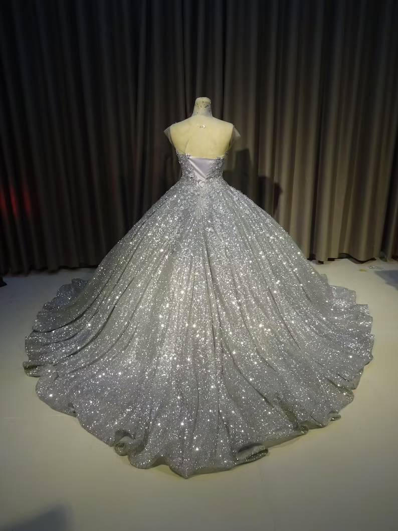 Sparkly Silver Gown, Silver Dress Princess Formal Evening Ball Gowns fg1856