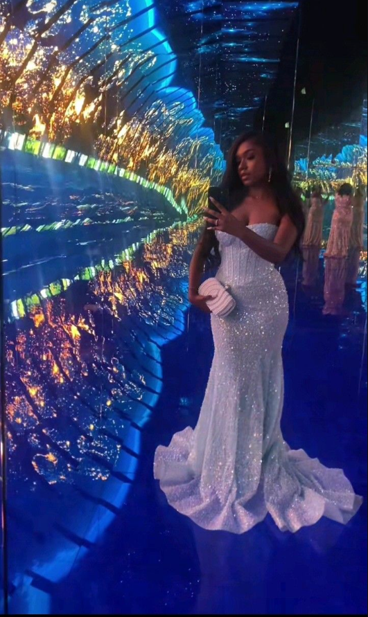 Light Blue Mermaid Long Prom Dresses Formal Evening Dress  fg7622