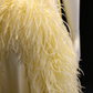 Pale Yellow High Neck Sleeveless Evening Gown with Hand-Beaded Floral Details & Ostrich Feather Trim fg9038