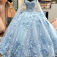 Blue A Line Tulle Ball Gown Prom Dresses, Evening Gowns        fg3992