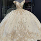 Glittering Quinceanera Dresses Lace Princess Dress Birthday Party Gowns Ball Gowns      fg6576