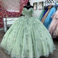 Green Quinceanera Dresses Ball Gown Off The Shoulder Tulle Appliques Sweet 16 Dresses        fg6683