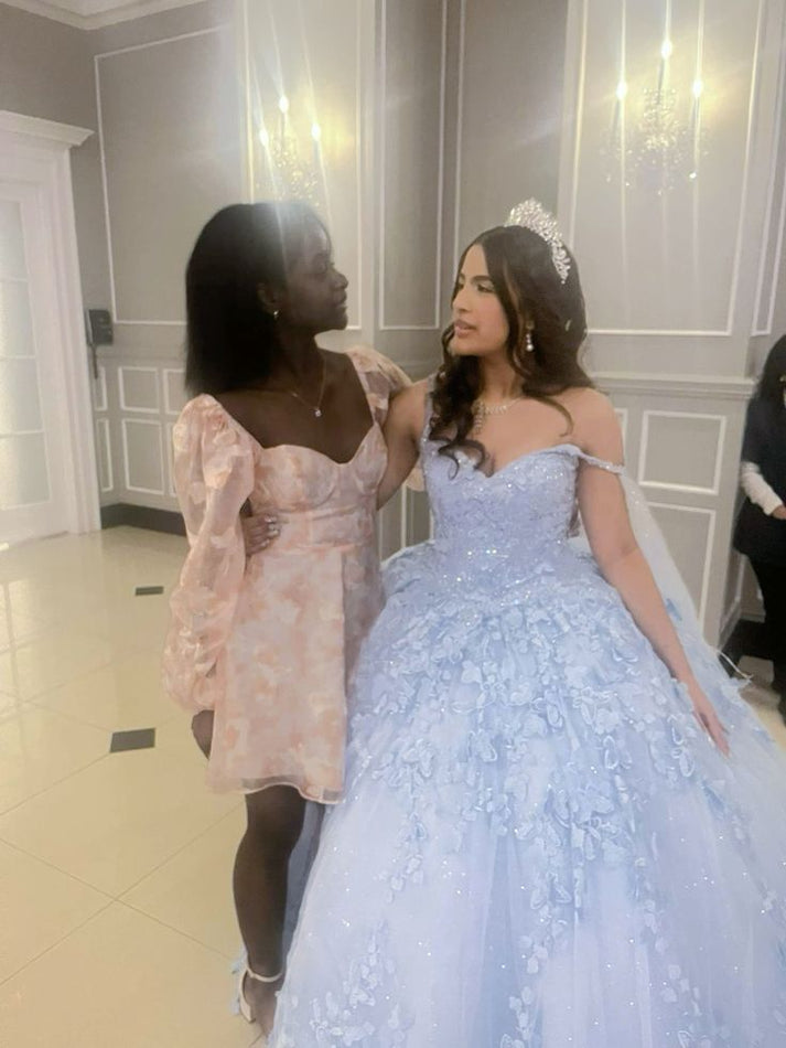 Light Blue Appliques Tulle Ball Dress