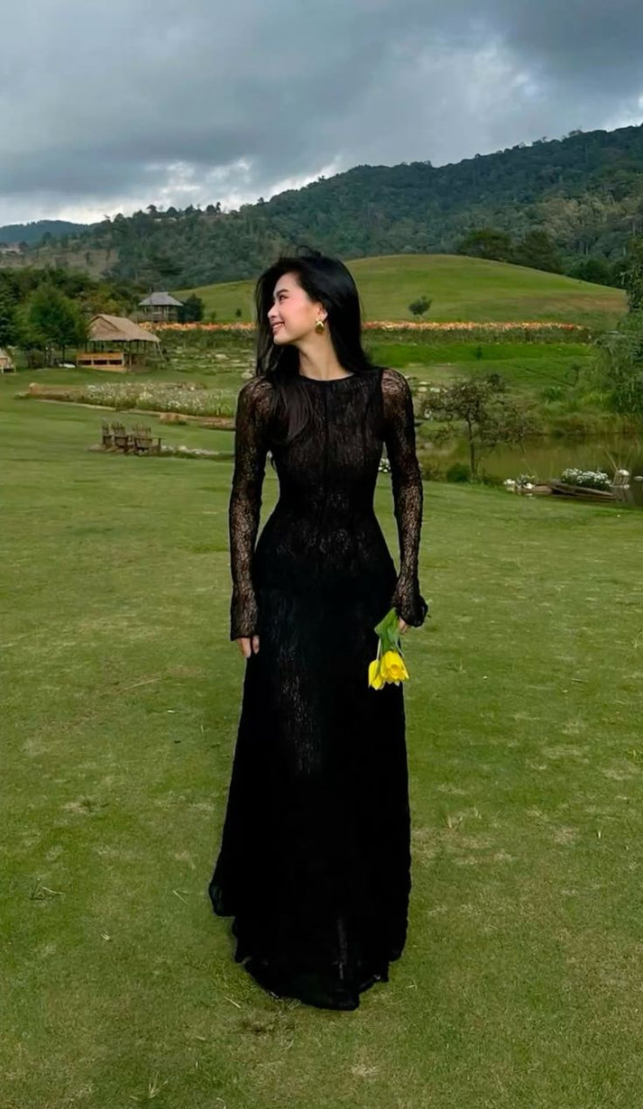 Black Prom Dresses Sexy Formal Dresses Lace Applique Evening Dresses Formal Occasion Dresses Y5988