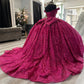 Sparkly Quinceanera Dress Off Shoulder A Line Birthday Party Princess Ball Gown   fg7950