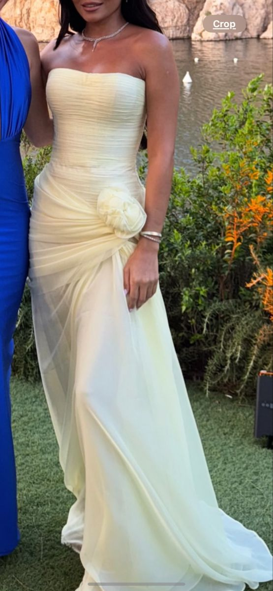 Light Yellow Chiffon Prom Dress Simple Graduation Dress Evening Dress fg8384