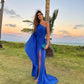 Royal Blue One Shoulder Long Evening Dress With Slit,Wedding Guest Outfit     fg4717