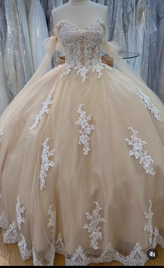 Quinceanera Dress Ball Gown Champagne Prom Dresses fg4421 – formalgowns