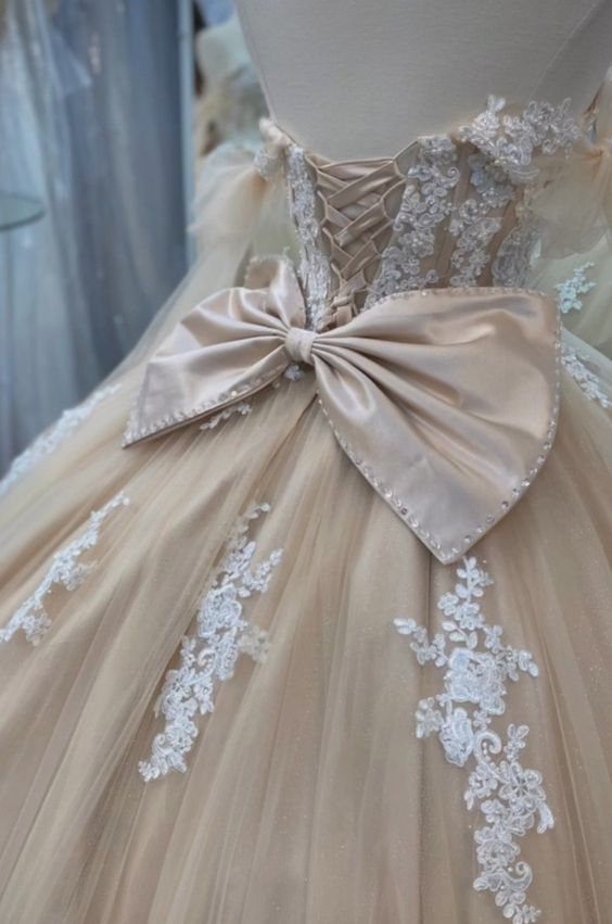 Quinceanera Dress Ball Gown Champagne Prom Dresses fg4421 – formalgowns