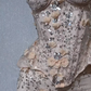 Strapless Sweetheart Corset 3D Floral Rhinestone Tulle Mermaid Evening Gown fg8753
