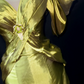 Sweetheart Portrait Green Satin Mermaid Evening Dress fg8846