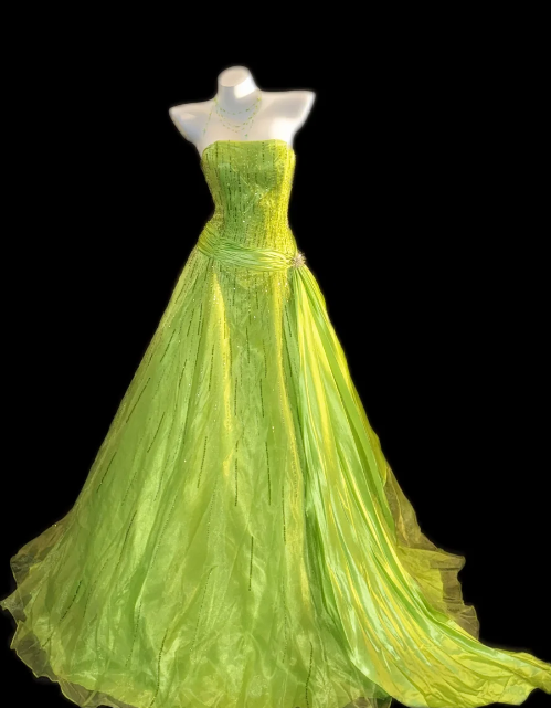 Strapless Beaded A-Line Organza Prom Dress fg8849