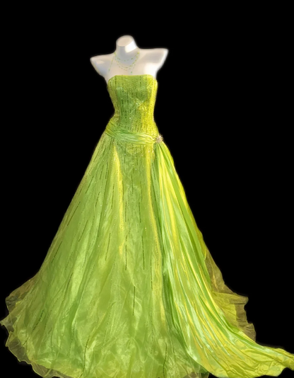 Strapless Beaded A-Line Organza Prom Dress fg8849