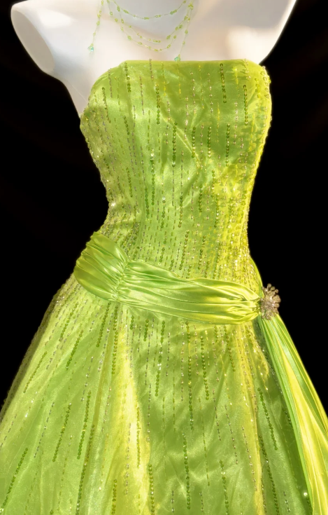 Strapless Beaded A-Line Organza Prom Dress fg8849