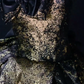 Strapless Bow Glitter Bubble Mini Homecoming Dress, Black Gold Short Party Gown fg8868