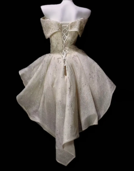Off Shoulder Beaded Sparkly Organza High Low Short Homecoming Dress fg8875