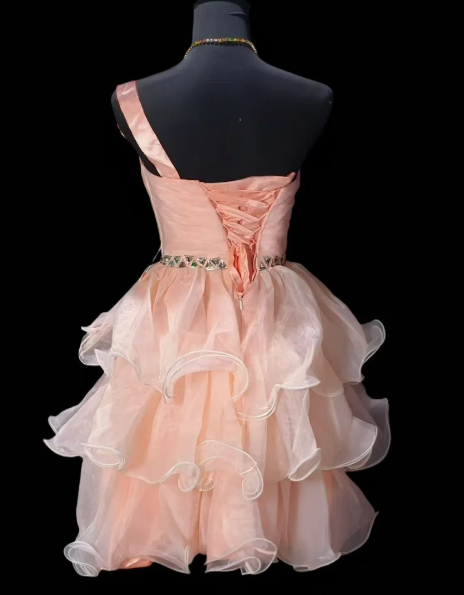 One Shoulder Floral Rhinestone Ruffled Organza Short Homecoming Dress fg8887