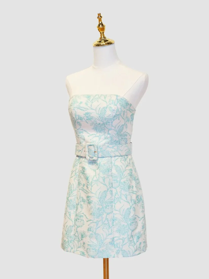 Homecoming-Bilder, süßes Hoco-Kleid, figurbetontes Partykleid, Homecoming-Kleider fg3579