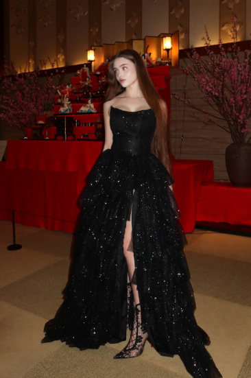 Multi-layer Shiny Elegant Dresses for Women,Luxury Party Dress,Black Prom Dress        fg6756