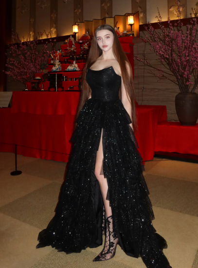 Multi-layer Shiny Elegant Dresses for Women,Luxury Party Dress,Black Prom Dress        fg6756