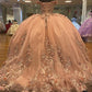 champagne lace ball gown prom dresses long evening dress   fg2452