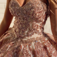 Champagne Tulle Rosewood Appliques Sweetheart Neckline Sweetheart Ball Gown Quinceanera Dresses Prom Dresses    fg2497