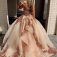 Champagne Tulle Rosewood Appliques Sweetheart Neckline Sweetheart Ball Gown Quinceanera Dresses Prom Dresses    fg2497